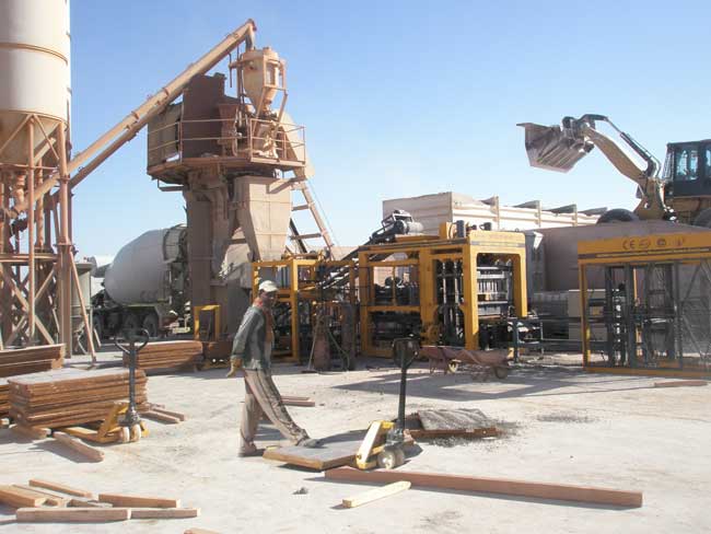 阿爾(er)及利亞砌塊(kuài)磚機客戶